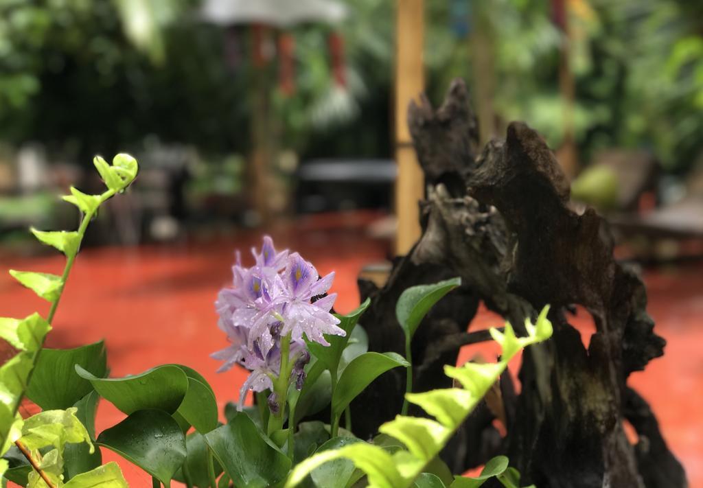 Capital O 1051 Pagoda House Chiang Mai Zewnętrze zdjęcie